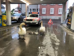 MEHR LESEN