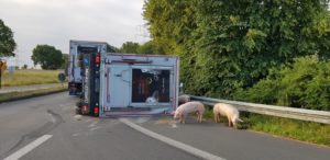 MEHR LESEN