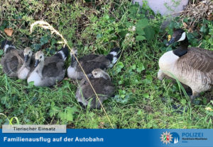 MEHR LESEN
