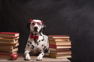 MEHR LESEN