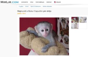 MEHR LESEN