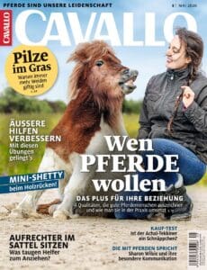 MEHR LESEN