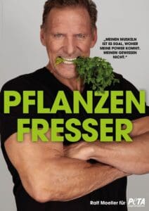 MEHR LESEN
