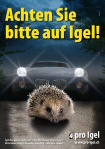 MEHR LESEN