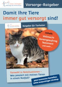 MEHR LESEN