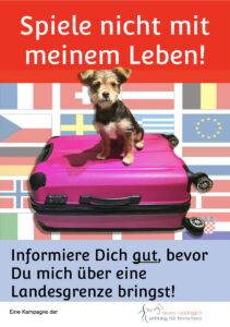 MEHR LESEN