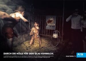 MEHR LESEN