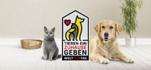 MEHR LESEN