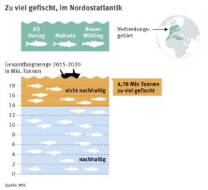 MEHR LESEN
