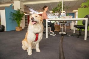 MEHR LESEN