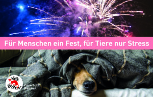 MEHR LESEN
