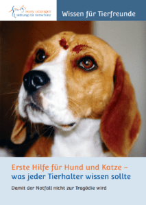 MEHR LESEN