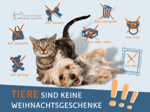 MEHR LESEN