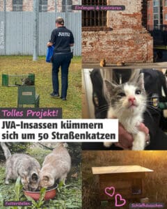 MEHR LESEN