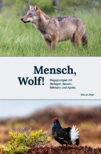 MEHR LESEN