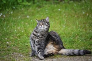 MEHR LESEN