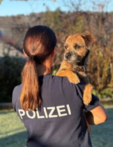 MEHR LESEN