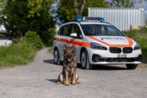 MEHR LESEN