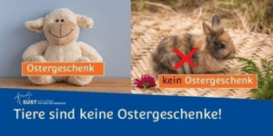 MEHR LESEN