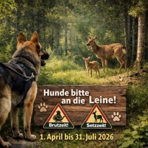 MEHR LESEN
