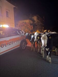 MEHR LESEN