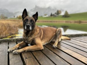 MEHR LESEN