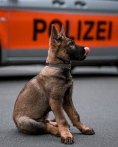MEHR LESEN