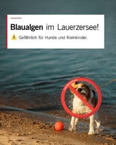 MEHR LESEN