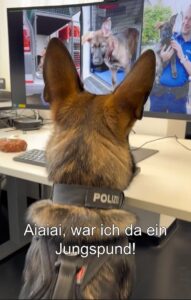 MEHR LESEN