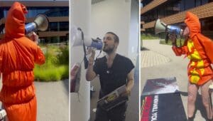 MEHR LESEN