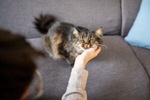 MEHR LESEN