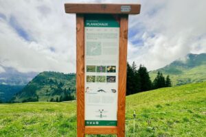 MEHR LESEN