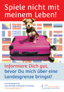 MEHR LESEN