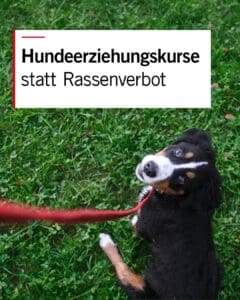 MEHR LESEN
