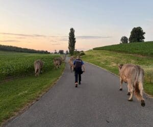 MEHR LESEN
