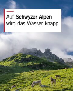 MEHR LESEN