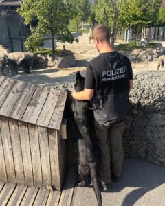 MEHR LESEN